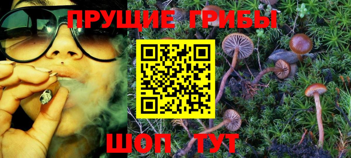 Галлюциногенные грибы Cubensis  Вход с VPN  Краснодар 
