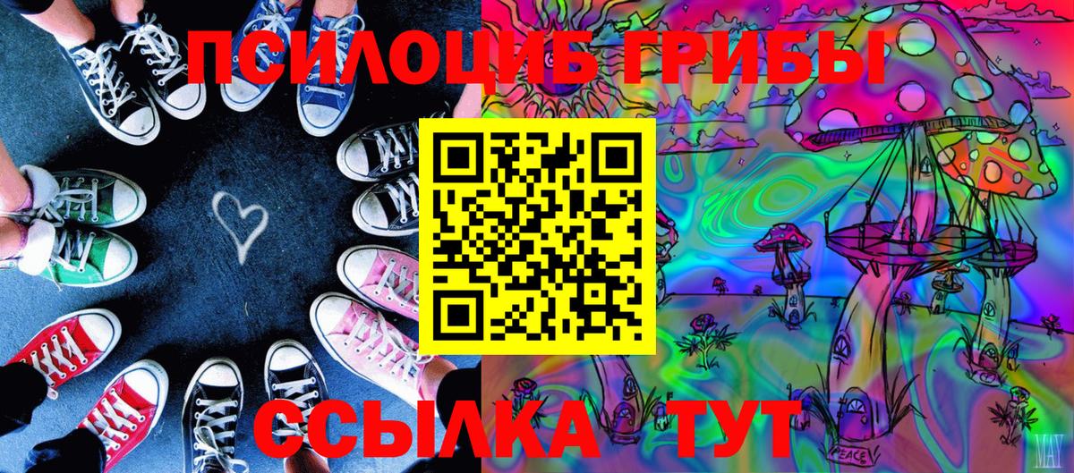 Галлюциногенные грибы мицелий Краснодар